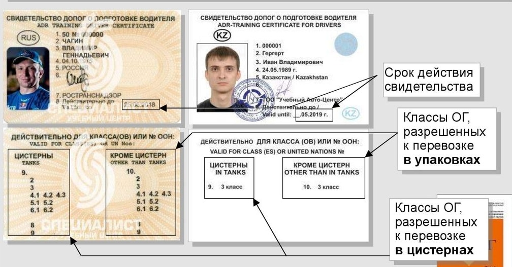 Образец Свидетельства ДОПОГ Образец свидетельства ДОПОГ